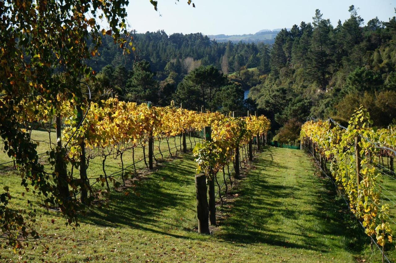 Rive Gauche B&B Lodge Taupo Exterior photo